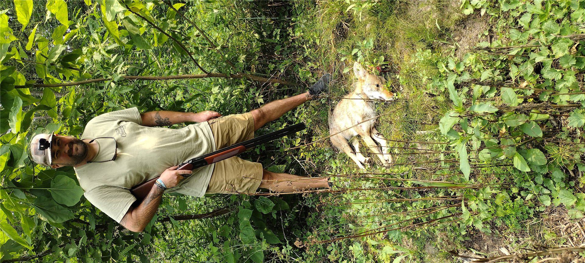 Patrick with a Coyote ( 2 minutes in the stand)